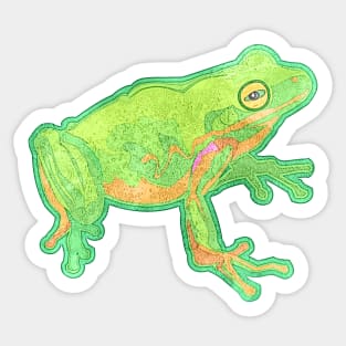 Green Tree Frog Sticker